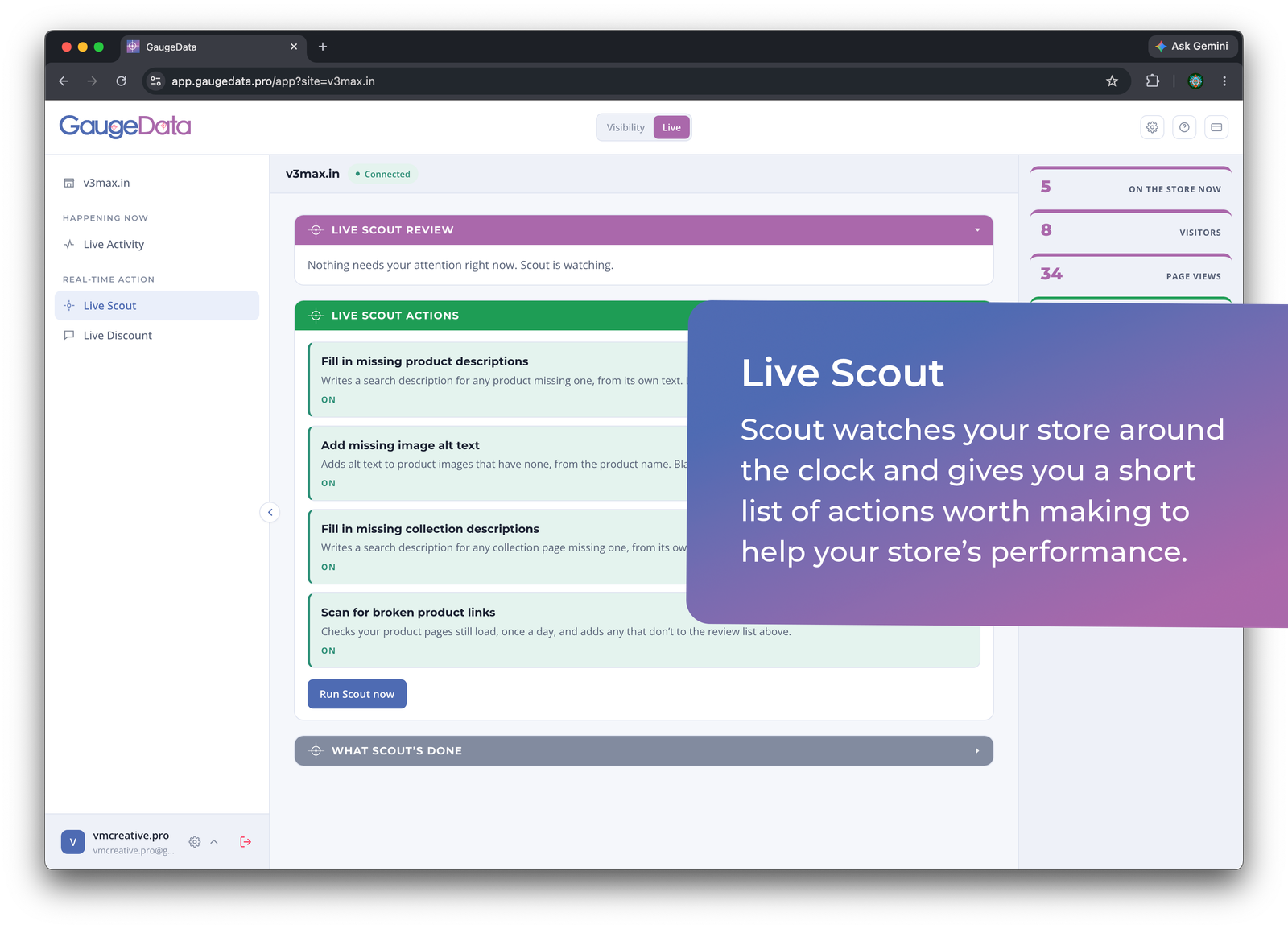 GaugeData — live store activity